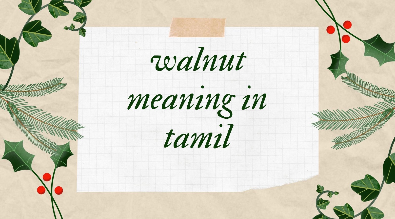 Walnut Meaning in Tamil